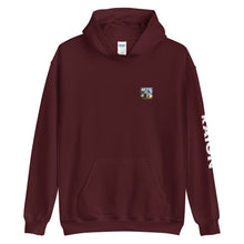 Load image into Gallery viewer, WHEN IT'S ALL OVER EP Hoodie